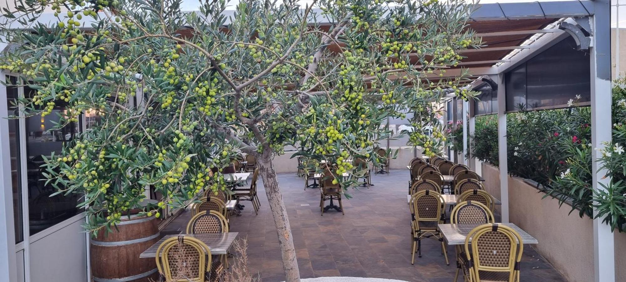 Hotel Restaurant Calypso Фо-сюр-Мер Екстер'єр фото